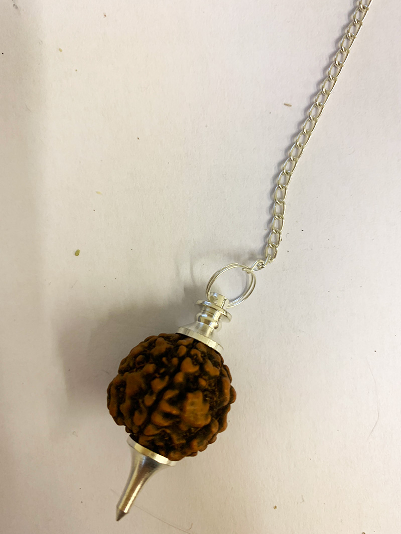 Pendulum Rudraksha bead