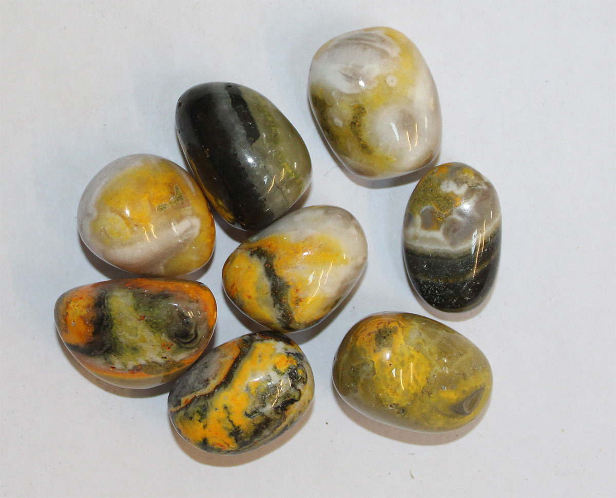 Bumble bee Jasper 100g. Bag 