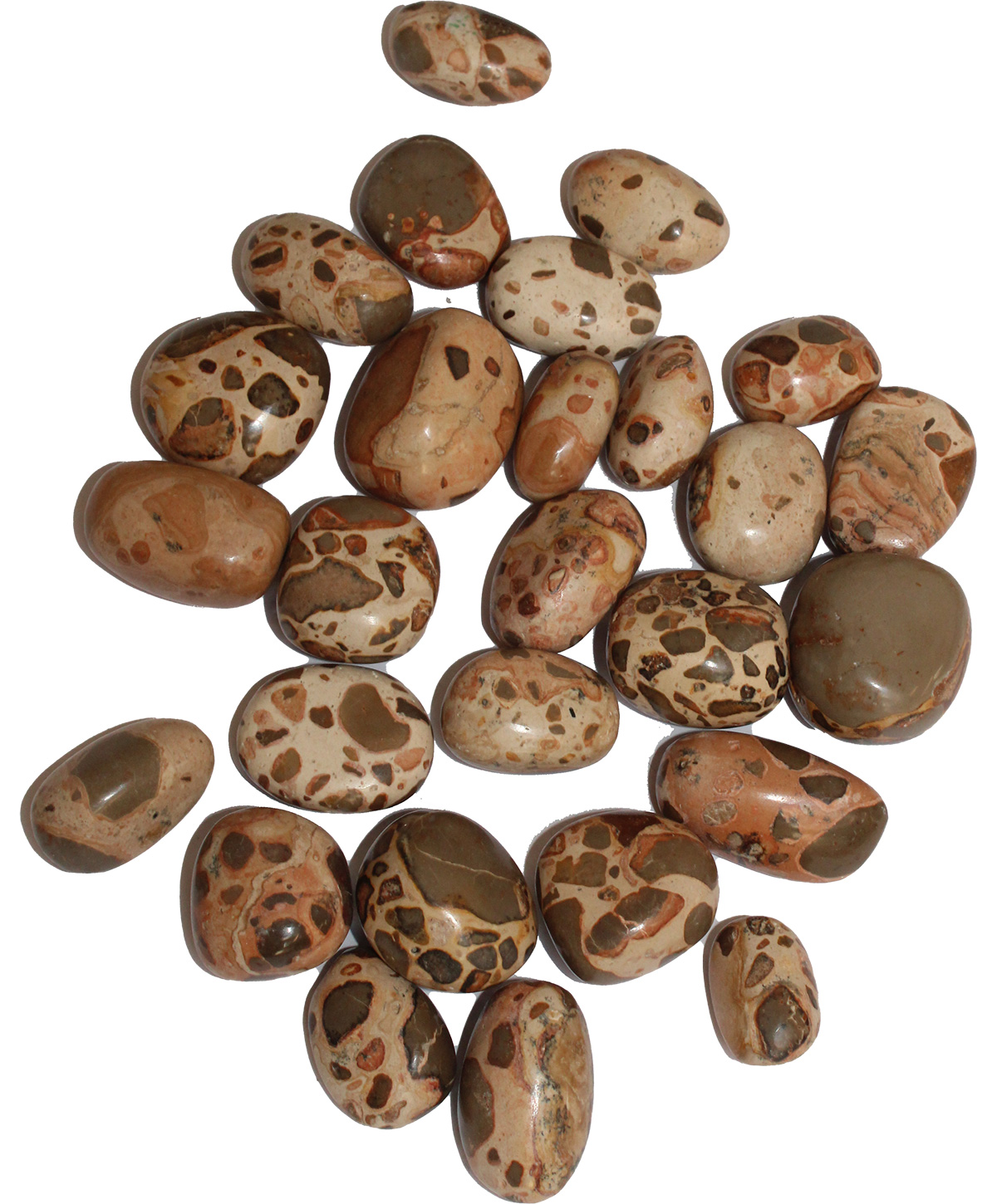 Leopardite Peru 300g. Bag