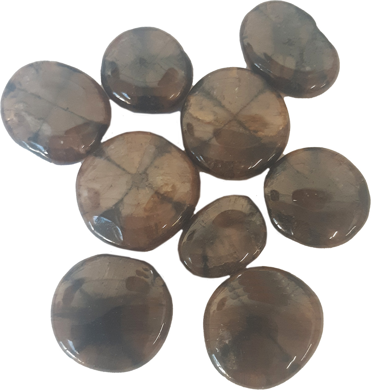 Chiastolite palms 100g bag