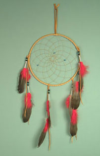 Iroquois 10 inch dream catcher