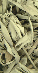 California white sage, 1lb. Bag 453g