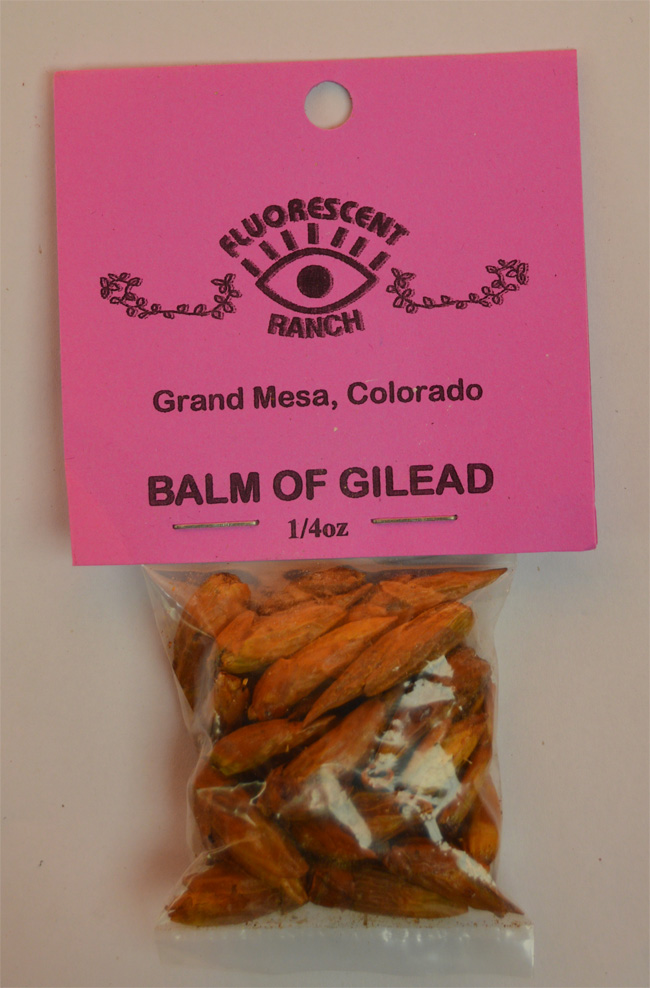 Balm of Gilead ¼ oz 7.5g