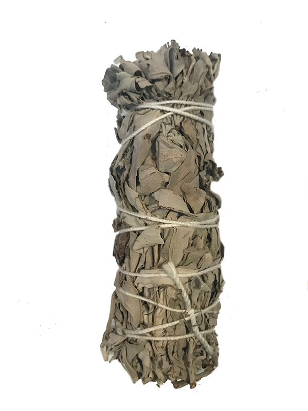 White sage and Lavender 4 inch unpackaged