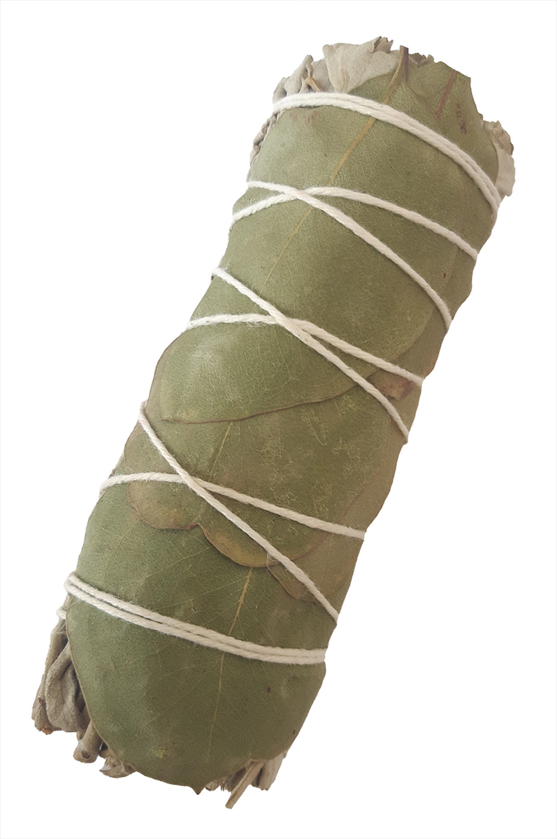 4 inch White sage and Eucalyptus