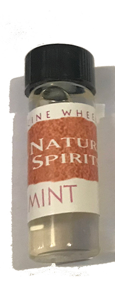 Mint Medicine Wheel Oils