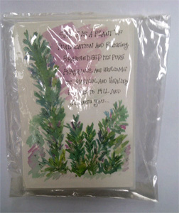 Sage 6 cards / pack each card has a sachet  of the herb to burn