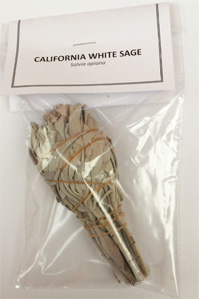 California White Sage Mini bundle 4 inch bulb shape packaged