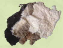 Rabbit pelts specify: white, dark brown or grey. Approx. 11 x 14 inch