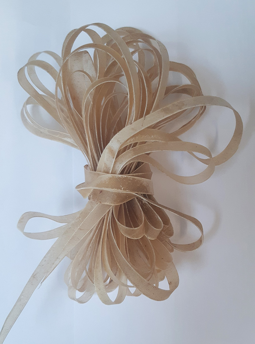 Rawhide babiche thong for making drums etc 15 metres long 10mm wide