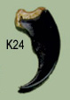 K24