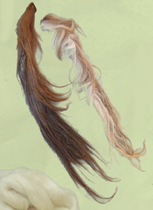 Horse tail specify colour
