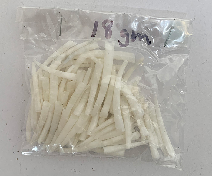 Dentalium shells 100gl Bag