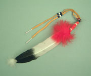 Iroquois turkey dance feather